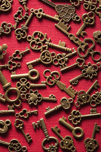 آموزش جذب مخاطب هدف: چکیده تجربیات نی نی سایت در سال 1404